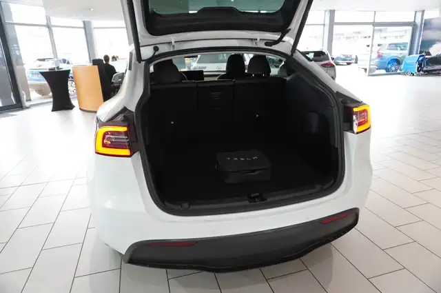 Tesla Model Y view 14