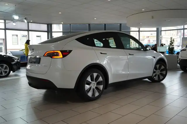 Tesla Model Y view 9