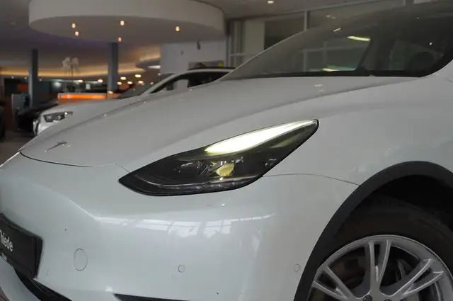Tesla Model Y view 5