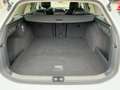 Volkswagen Passat Variant 1.5 eTSI DSG BUSINESS LED+NAV+AHK Weiß - thumbnail 14