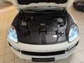 Porsche Cayenne S,Soft-Close,Pano,ACC,Tote-Winkel,2-Hand Blanc - thumbnail 27