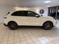 Porsche Cayenne S,Soft-Close,Pano,ACC,Tote-Winkel,2-Hand Blanc - thumbnail 8