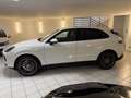 Porsche Cayenne S,Soft-Close,Pano,ACC,Tote-Winkel,2-Hand Blanc - thumbnail 4