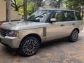 Land Rover Range Rover HSE V8 TD 313 CV Oro - thumbnail 3