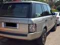 Land Rover Range Rover HSE V8 TD 313 CV Oro - thumbnail 2