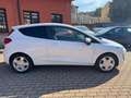 Ford Fiesta 1.0 MHEV 125 CV 3 porte VAN Trend Blanco - thumbnail 6