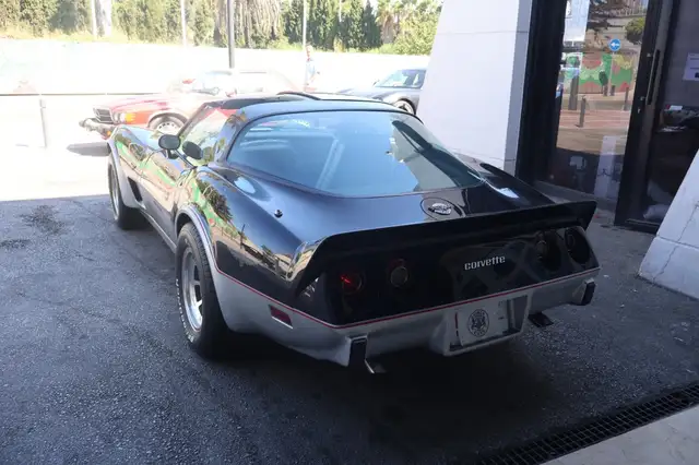 Chevrolet Corvette view 12