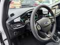 Ford Fiesta Fiesta VII 2017 5p 5p 1.5 ecoblue Business 85cv Wit - thumbnail 9