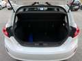 Ford Fiesta Fiesta VII 2017 5p 5p 1.5 ecoblue Business 85cv Wit - thumbnail 16
