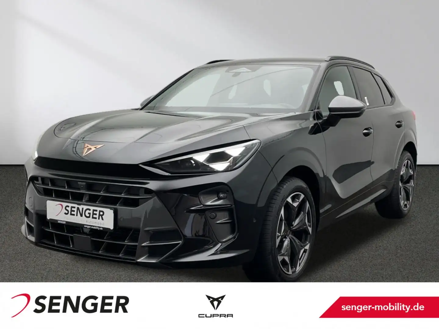 CUPRA Terramar 1.5 eTSI DSG Matrix Navi AHK Noir - 1
