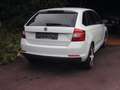 Skoda Rapid/Spaceback Rapid 1.4 TDI,Joy,Klimatr.Navi,Reifen,Kuppl. neu! Weiß - thumbnail 12