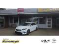 Kia Ceed SW / cee'd SW 1.6 CRDi Mild Hybrid 48V 136PS Spirit Navi Leder D Wit - thumbnail 1