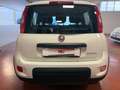 Fiat Panda Panda 1.0 firefly hybrid CityLife s VARIE UNITà Bianco - thumbnail 5