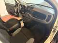 Fiat Panda Panda 1.0 firefly hybrid CityLife s VARIE UNITà Bianco - thumbnail 9