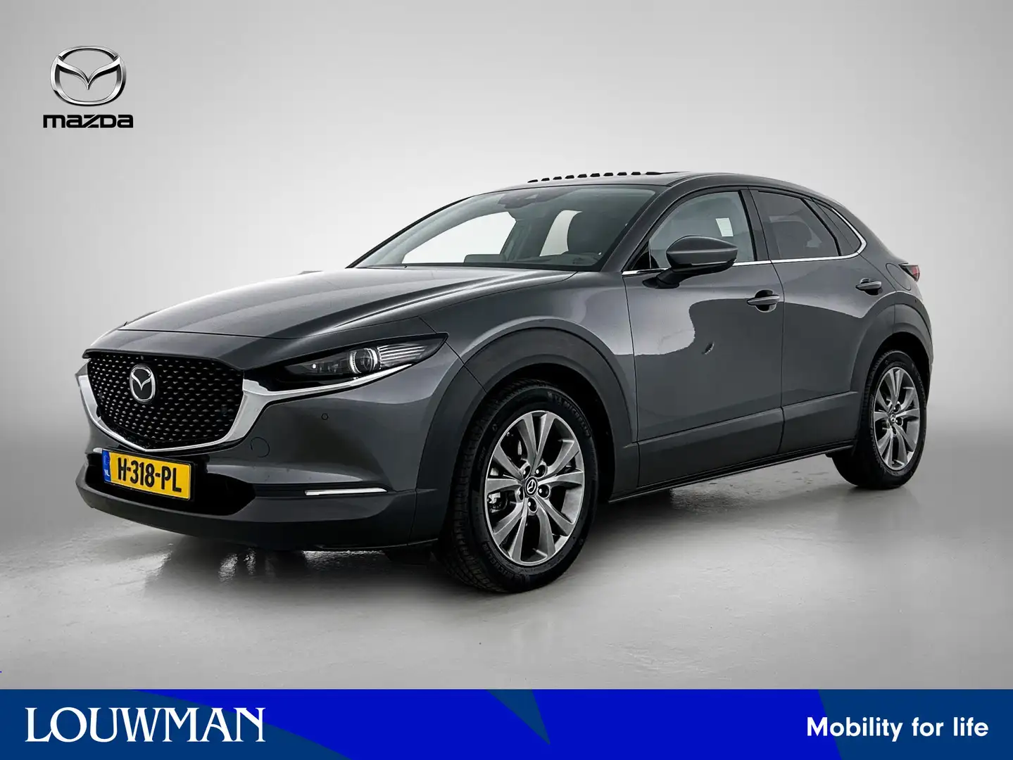 Mazda CX-30 2.0 e-SkyActiv-X M Hybrid Luxury / Lederen int. / Gris - 1
