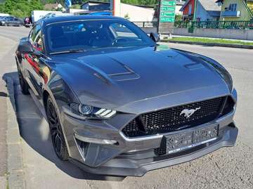 GT Fastback