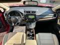 Honda CR-V 2.0 hev Executive Navi awd ecvt Rosso - thumbnail 13
