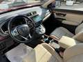 Honda CR-V 2.0 hev Executive Navi awd ecvt Rosso - thumbnail 9