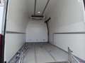 Iveco Daily 35S13V 2.3 352 H3 L2 Koelwagen, Airco,3persoons, m Blanc - thumbnail 9