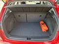 SEAT Arona Arona 1.0 tgi Style 90cv Rosso - thumbnail 14