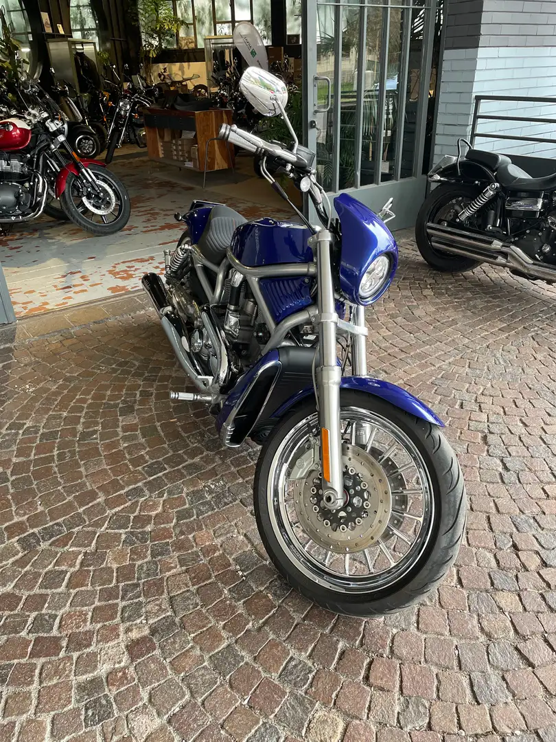 Harley-Davidson V-Rod VRSCAWA Blau - 2