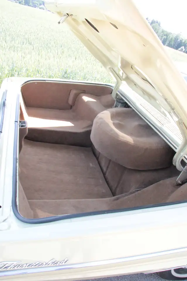 Ford Thunderbird Model Landau, foto 9