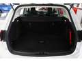 Ford Focus Turnier 1.5 Trend Temp ZV Klima DAB BT Blanc - thumbnail 13