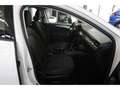 Ford Focus Turnier 1.5 Trend Temp ZV Klima DAB BT Blanc - thumbnail 14