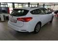 Ford Focus Turnier 1.5 Trend Temp ZV Klima DAB BT Blanc - thumbnail 4