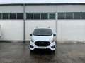 Ford Transit Custom 280 L1, Tempomat, Standheizung, Sitzheizung Blanc - thumbnail 8