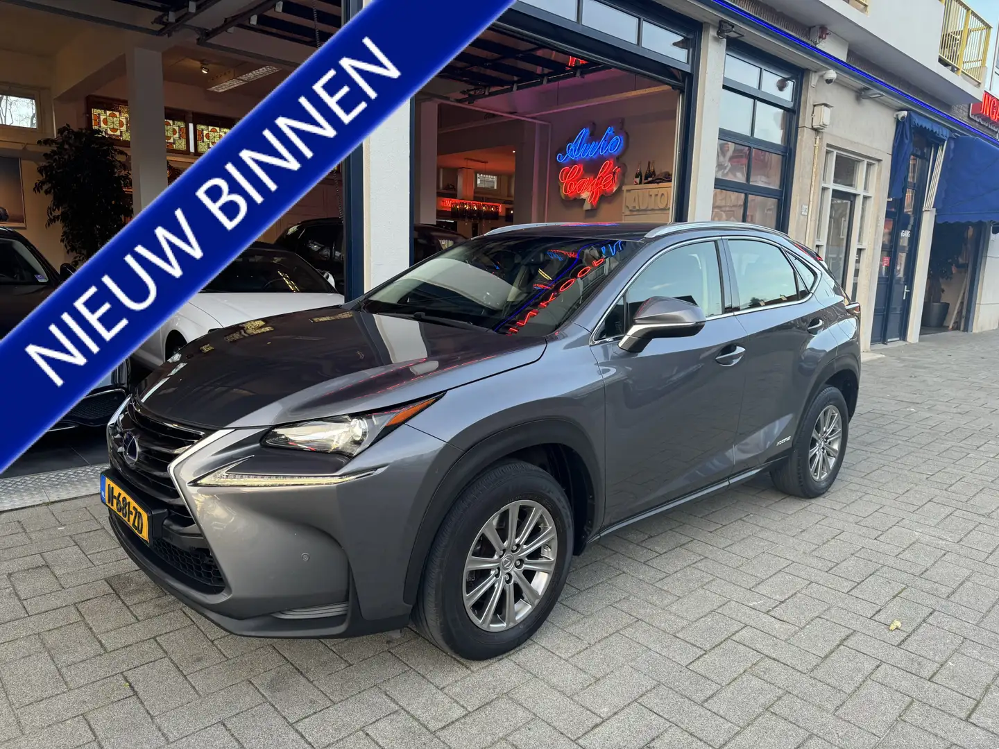 Lexus NX 300h AWD Business Line LEDER/NAVI/CAMERA Šedá - 1