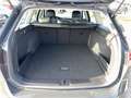 Volkswagen Passat Alltrack TDi DSG 4M Black/ACC/AHK/LED/PDC Grau - thumbnail 18