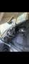 MINI Cooper D Countryman 1.6 - thumbnail 5
