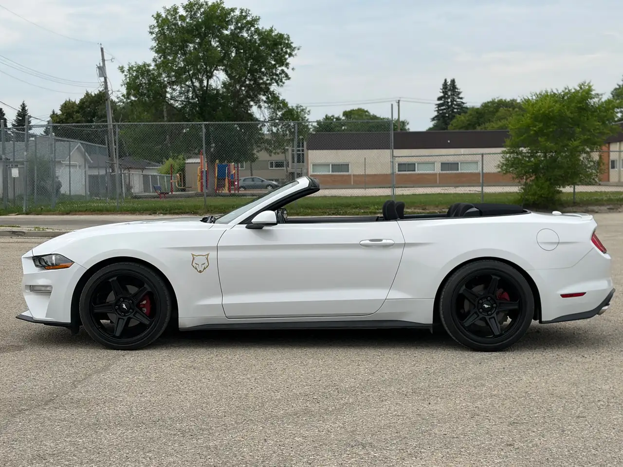 Ford Mustang photo Ford Mustang