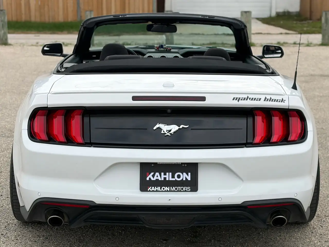 Ford Mustang photo Ford Mustang