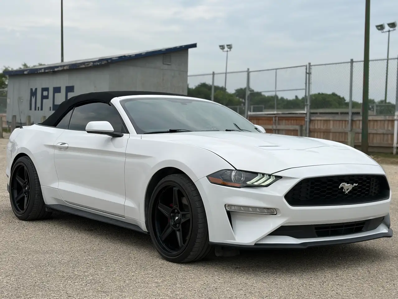 Ford Mustang photo Ford Mustang