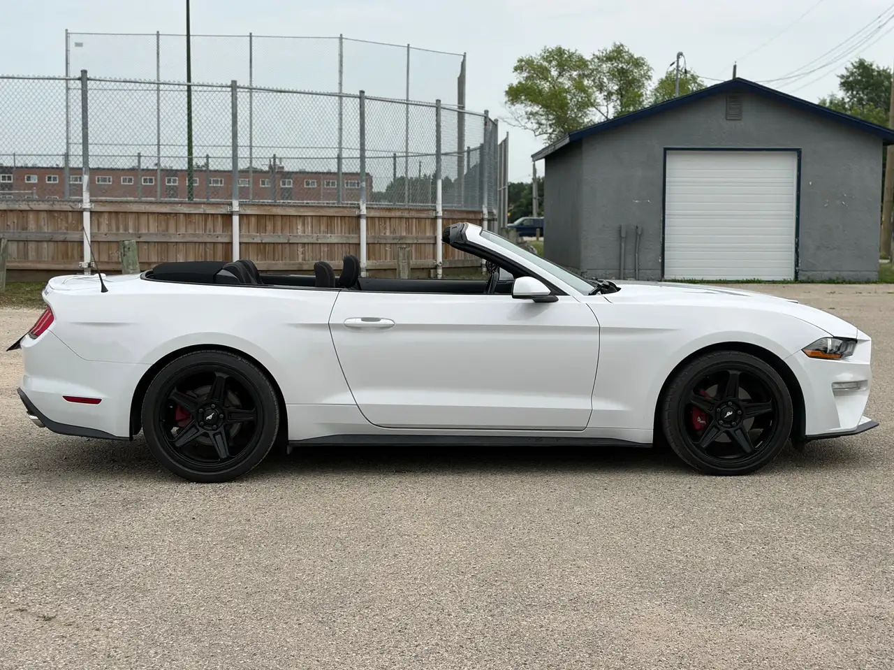 Ford Mustang photo Ford Mustang