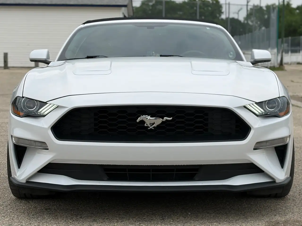 Ford Mustang photo Ford Mustang