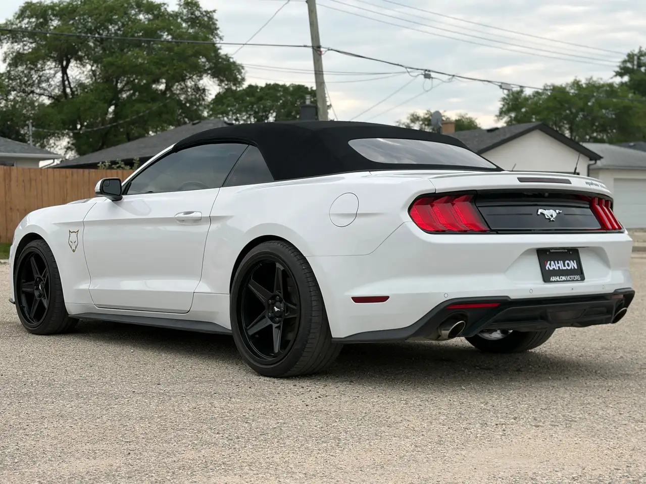 Ford Mustang photo Ford Mustang