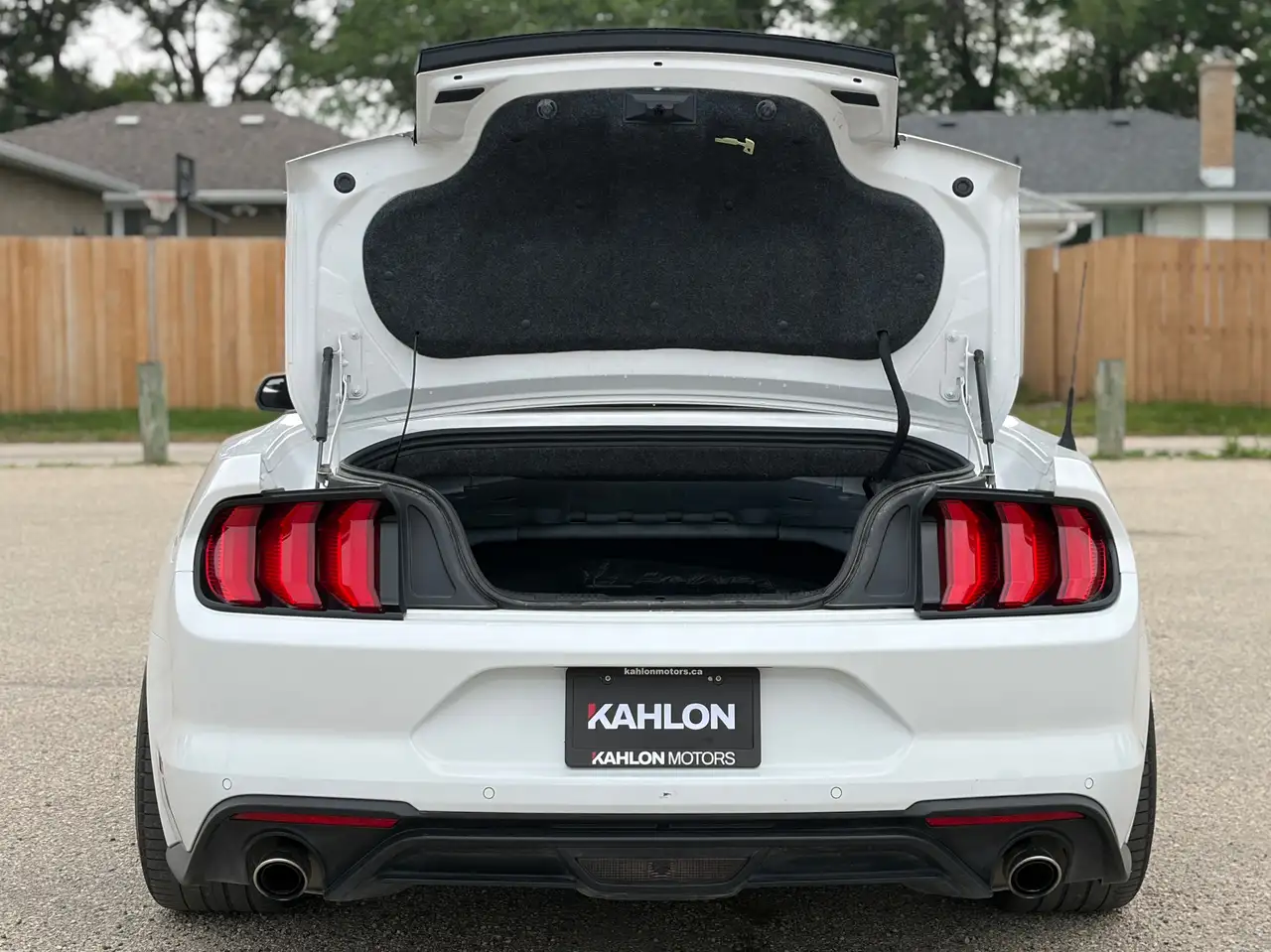 Ford Mustang photo Ford Mustang