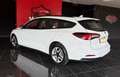 Ford Focus 1.5 EcoBlue 120 CV automatico SW Business Bianco - thumbnail 4