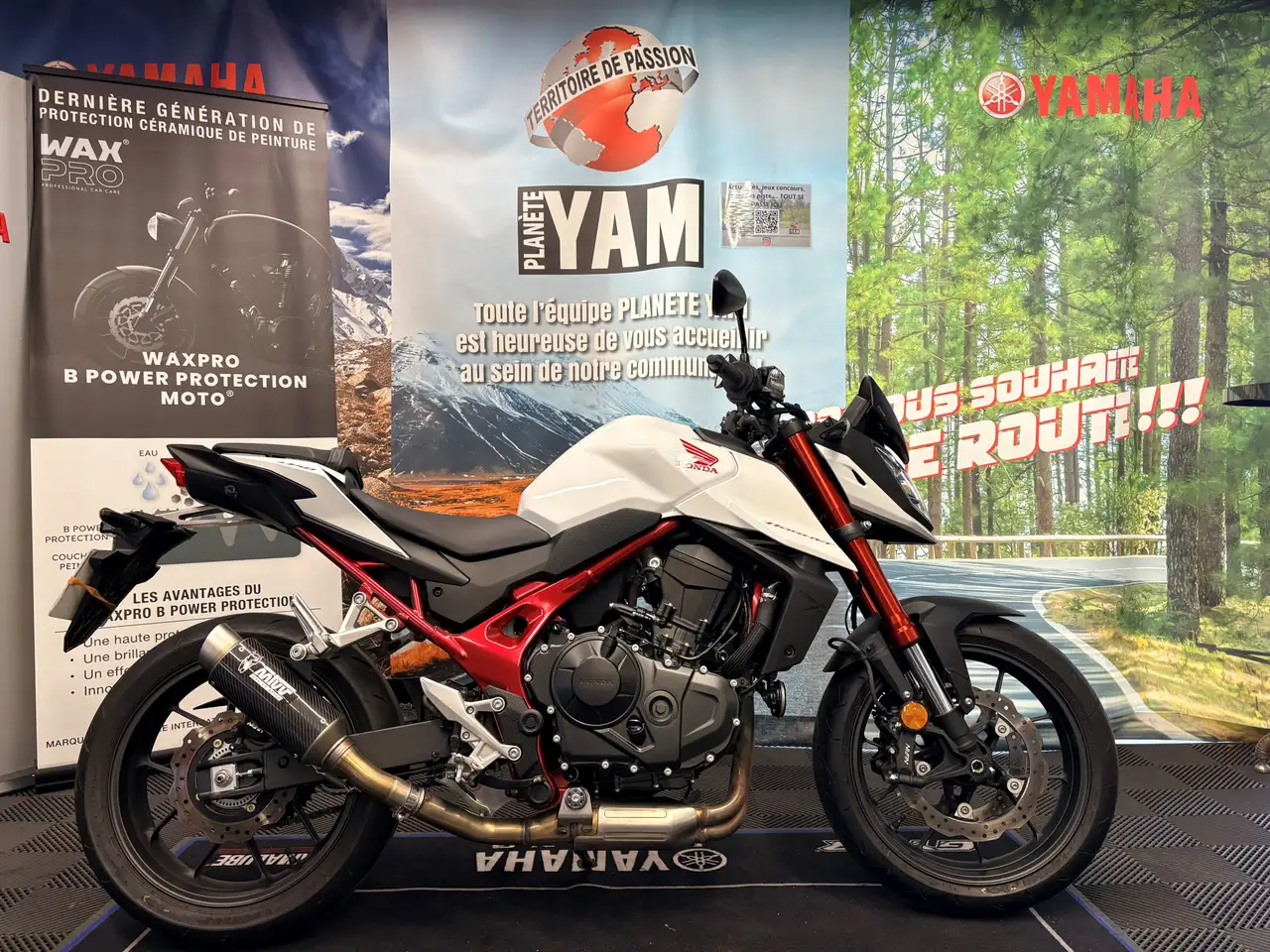 Honda Hornet