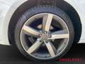 Audi A1 Sportback basis 1.0 TFSI Media-Paket Klimaautomati Weiß - thumbnail 15