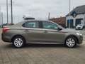Citroen C-Elysée C-Elysee BlueHDi 100 Selection Beige - thumbnail 6