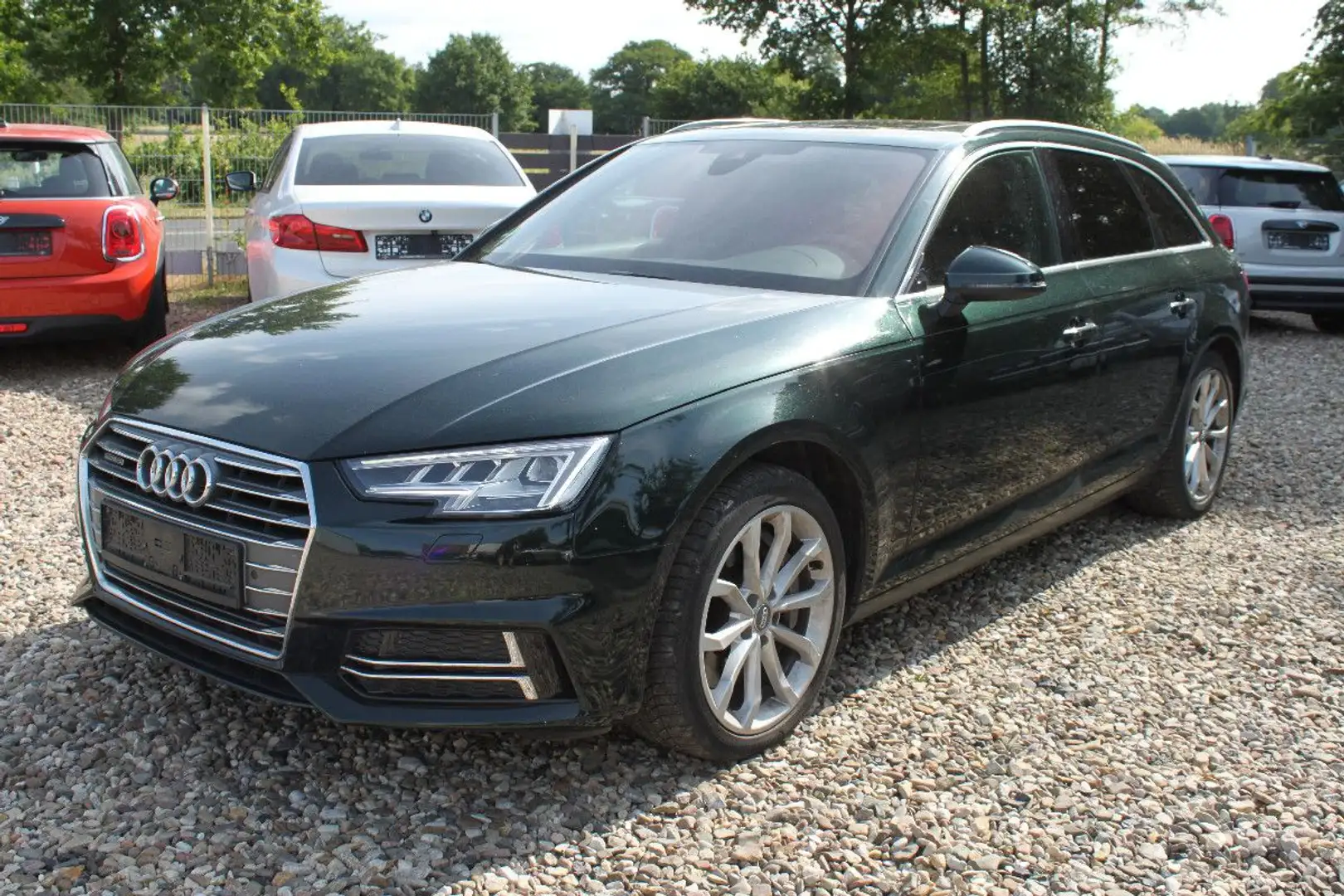 Audi A4 Avant 50 3.0 V6 TDI quattro - Navi-Leder-LED Verde - 1