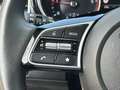 Kia Ceed / cee'd SW 1.6 CRDi (48V Mild-Hybrid) DCT7 Vision Grau - thumbnail 9