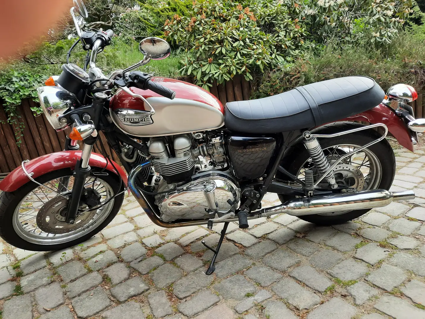 Triumph Bonneville SE Red - 1