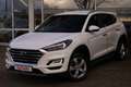 Hyundai TUCSON 2.0 AWD Fernlichtassistent Navi AHK 360° Alb - thumbnail 2