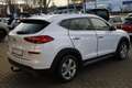 Hyundai TUCSON 2.0 AWD Fernlichtassistent Navi AHK 360° Alb - thumbnail 5