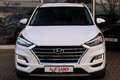 Hyundai TUCSON 2.0 AWD Fernlichtassistent Navi AHK 360° Alb - thumbnail 7
